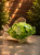 ChatGPT Image 22 lip 2026, 15_42_29.png