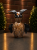 1BC1C5AC-04E1-4B26-810A-CF2165188A7F.png
